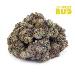 Tom Ford Pink Kush (Craft Cannabis) Buy Tom Ford Pink Kush (Craft Cannabis) online Canada