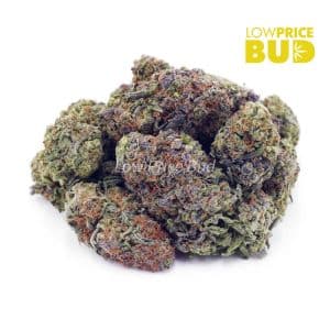 Pineapple Express (AA) Buy Pineapple Express (AA) online Canada