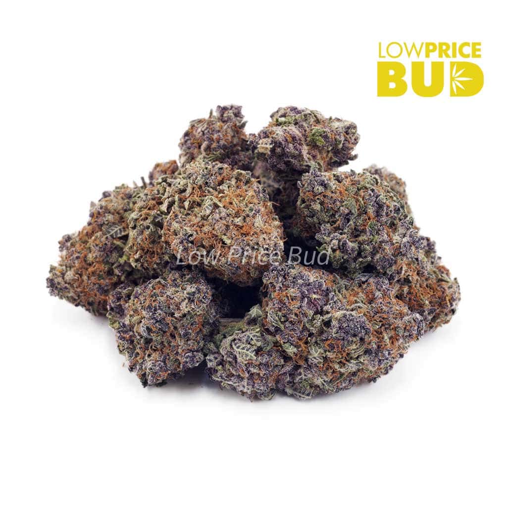 Huckleberry (AAAA) Buy Huckleberry (AAAA) online Canada