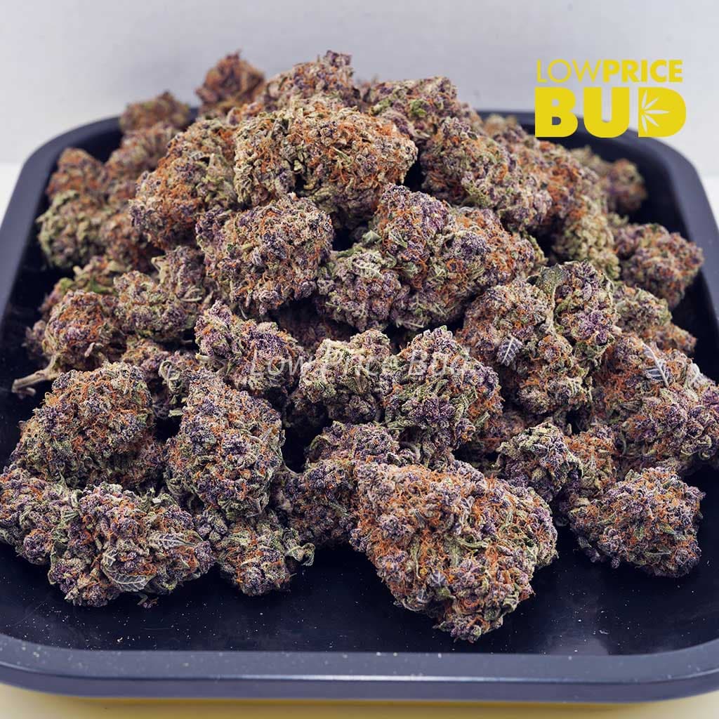 Huckleberry (AAAA) Buy Huckleberry (AAAA) online Canada