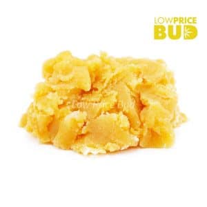 Buy Caviar – Bruce Banner online Canada