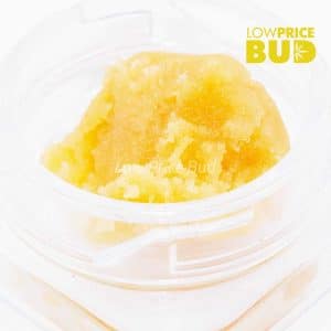 Caviar – Bruce Banner Buy Caviar – Bruce Banner online Canada