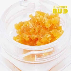 Caviar – Maui Wowie Buy Caviar – Maui Wowie online Canada