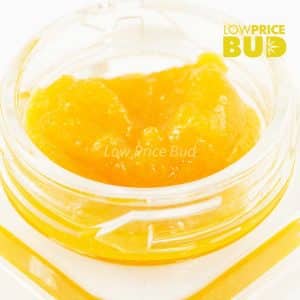 Caviar – Permanent Marker Buy Caviar – Permanent Marker online Canada