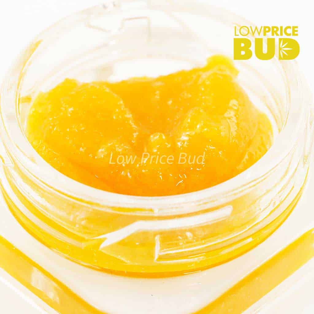 Caviar – Permanent Marker Buy Caviar – Permanent Marker online Canada