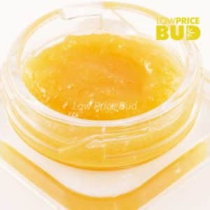 Caviar – Watermelon Punch Buy Caviar – Watermelon Punch online Canada