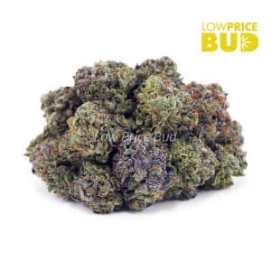 Bubba Kush (AAAA) Buy Bubba Kush (AAAA) online Canada