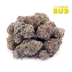 Monster Cookies (AAAA) Buy Monster Cookies (AAAA) online Canada