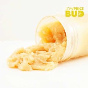 Live Resin – Super Lemon Haze Buy Live Resin – Super Lemon Haze online Canada