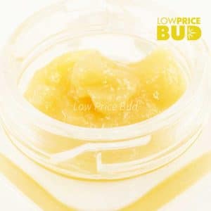 Caviar – White Skunk Buy Caviar – White Skunk online Canada