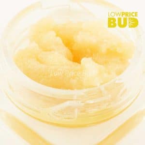 Buy Caviar – White Widow online Canada