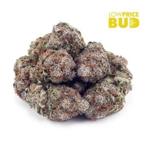 24K Gold (AAAA) Buy 24K Gold (AAAA) online Canada