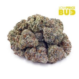 Apple Fritter (Craft Cannabis) Buy Apple Fritter (Craft Cannabis) online Canada