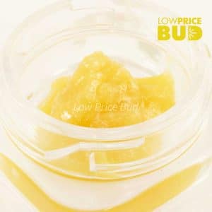 Buy Live Resin – Tom Ford online Canada