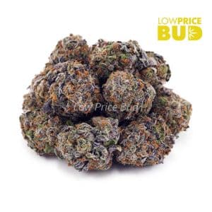 Buy Granddaddy Purple (AAAA) online Canada