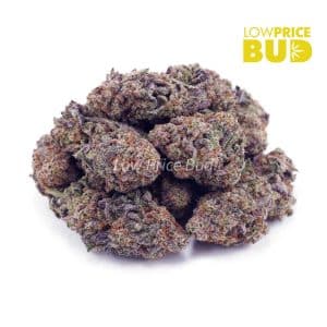 Buy Super Glue (AA) online Canada