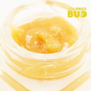 Caviar – Hindu Skunk Buy Caviar – Hindu Skunk online Canada