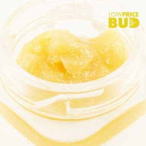 Buy Caviar – Pink Gas Mask online Canada