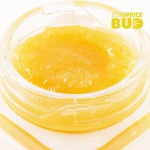 Buy Caviar – El Padrino online Canada