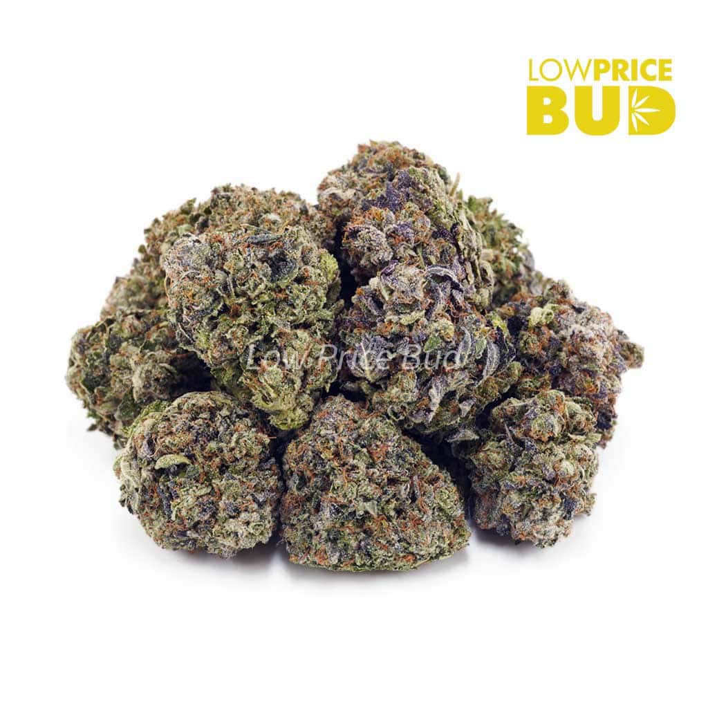 Pink Kush (AAA) Buy Pink Kush (AAA) online Canada