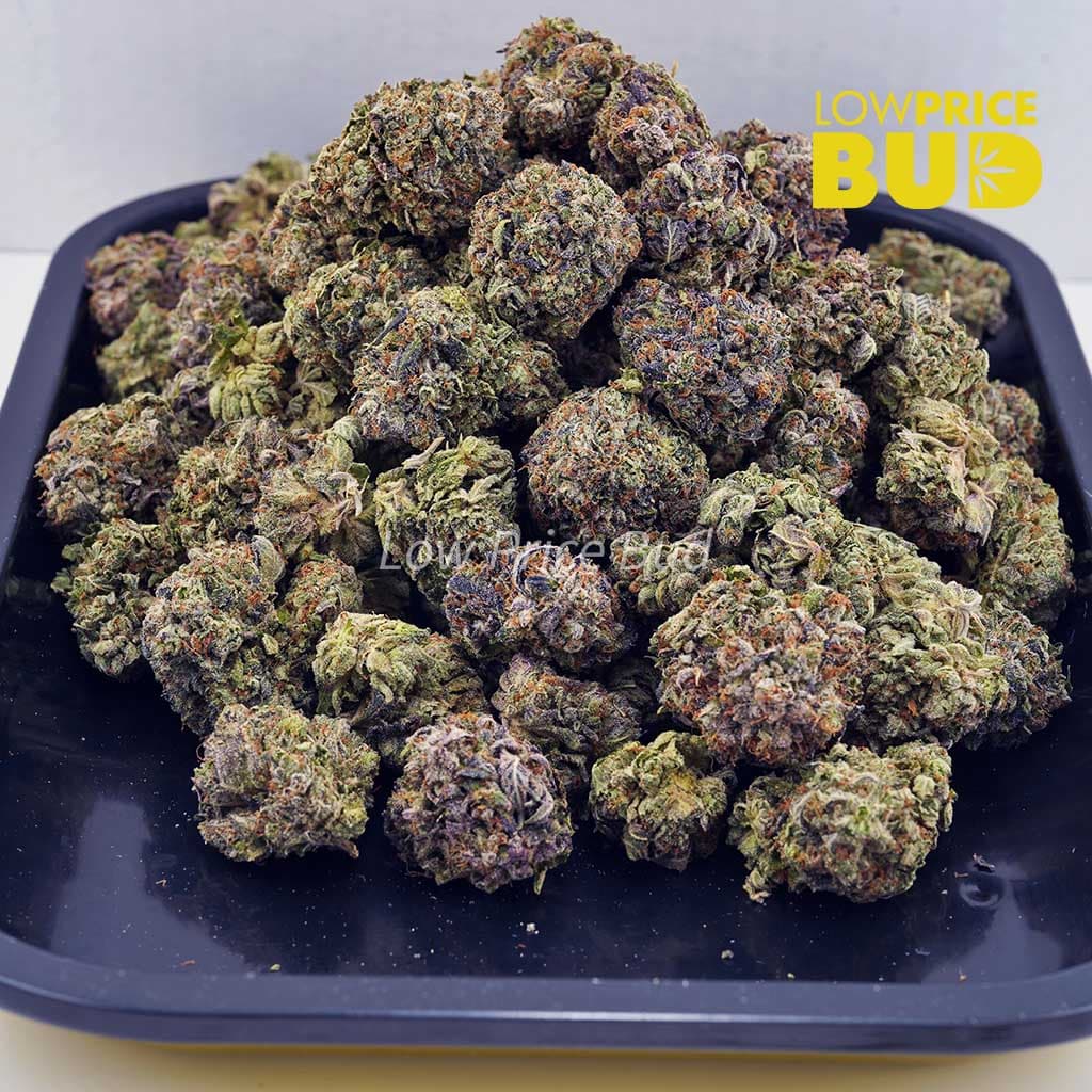 Pink Kush (AAA) Buy Pink Kush (AAA) online Canada