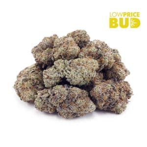 Bacio Gelato (Craft Cannabis) Buy Bacio Gelato (Craft Cannabis) online Canada