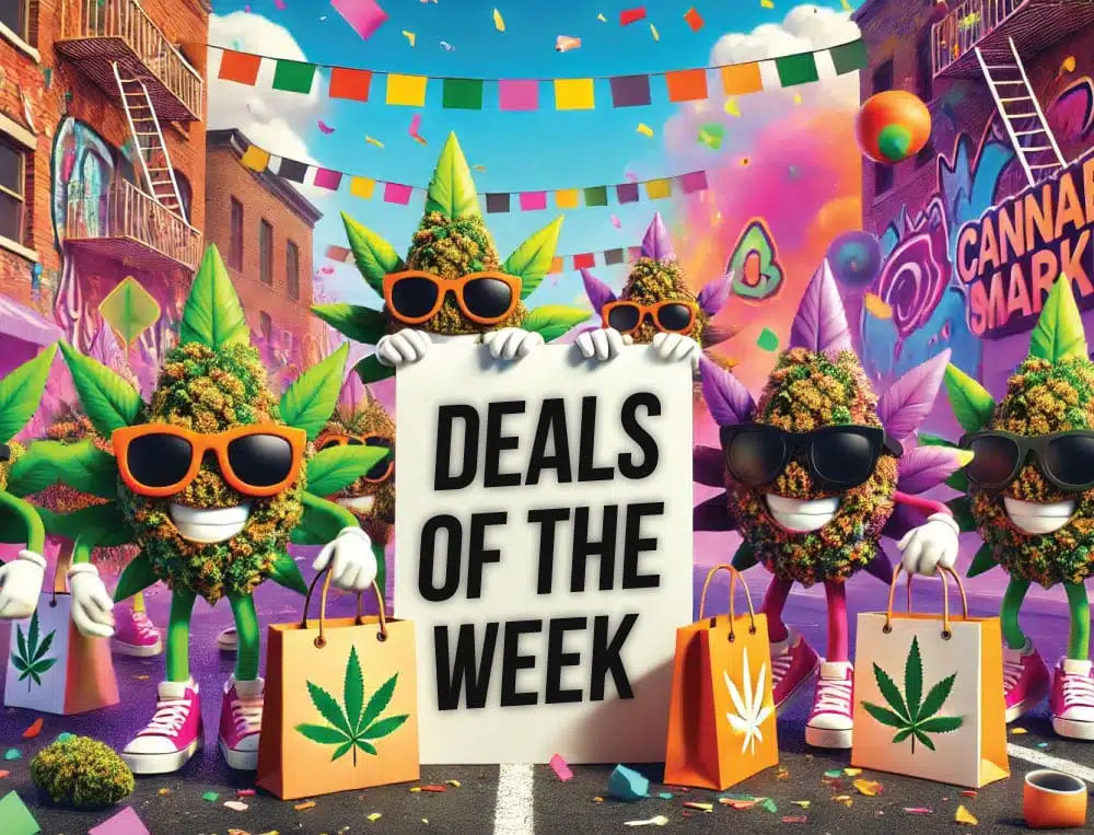 lpb deal banner