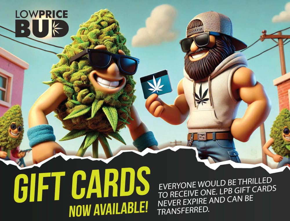 lpb gift cards banner