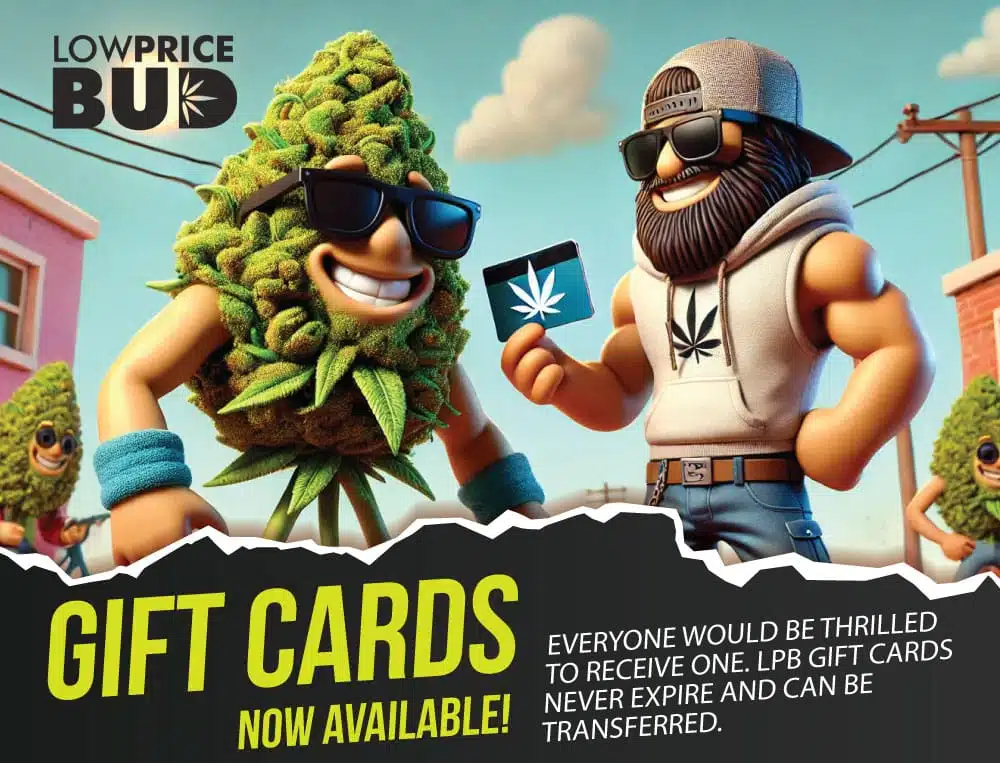 lpb gift cards banner