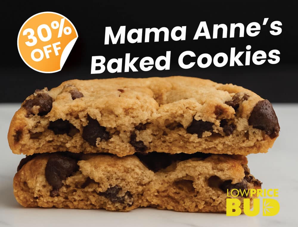 lpb small cookies banner