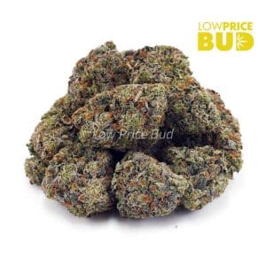 Dragons Breath (AAA) Buy Dragons Breath (AAA) online Canada