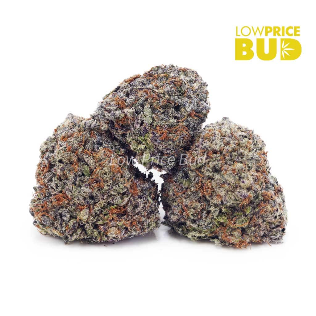 Acapulco Gold (AAAA) Buy Acapulco Gold (AAAA) online Canada