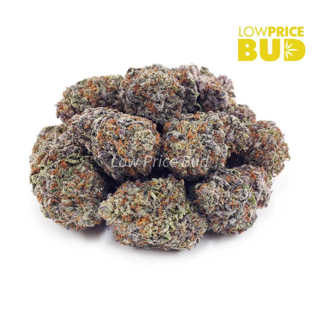Acapulco Gold (AAAA) Buy Acapulco Gold (AAAA) online Canada