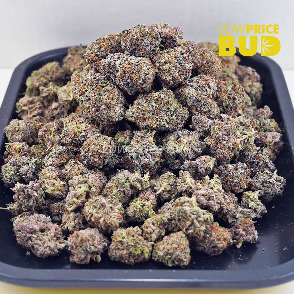 Acapulco Gold (AAAA) Buy Acapulco Gold (AAAA) online Canada