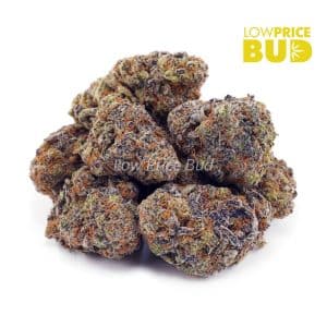 Buy Permanent Marker (AAAA) online Canada