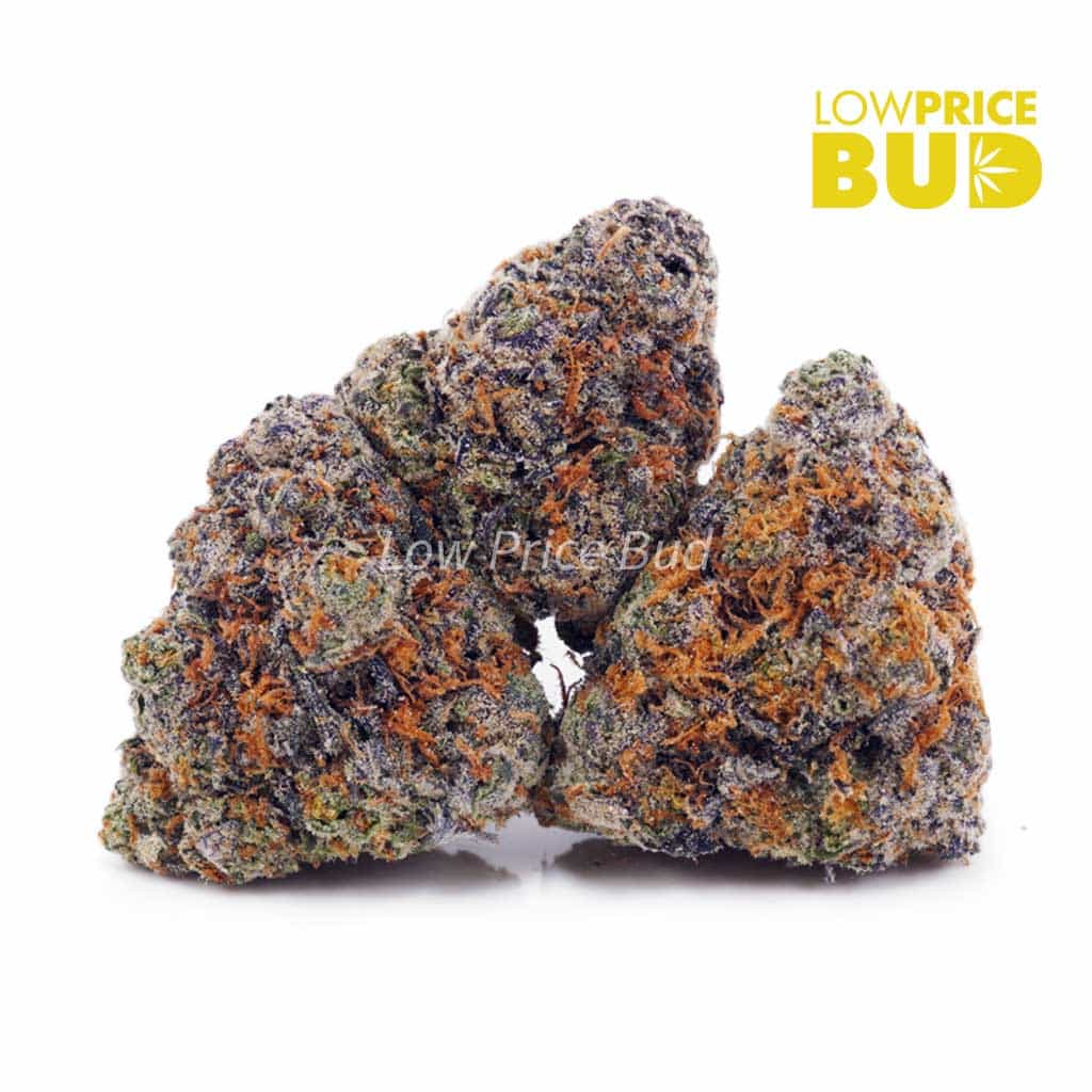 Tropicana Cookies (AAAA) Buy Tropicana Cookies (AAAA) online Canada