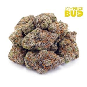 Buy Tropicana Cookies (AAAA) online Canada