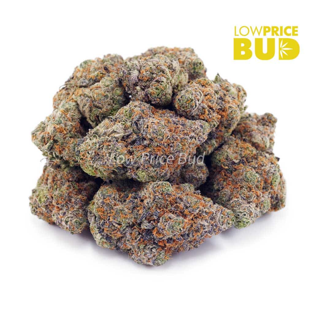 Tropicana Cookies (AAAA) Buy Tropicana Cookies (AAAA) online Canada