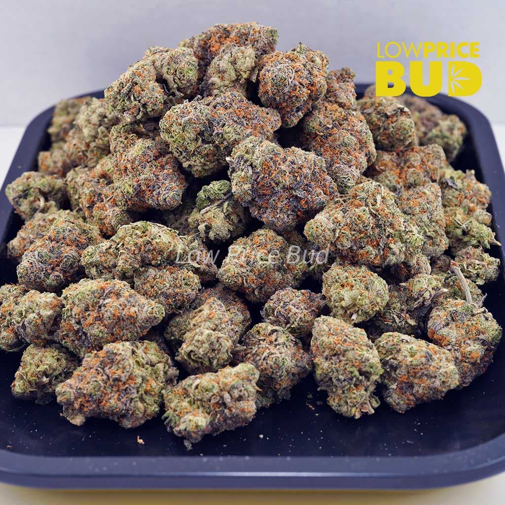 Tropicana Cookies (AAAA) Buy Tropicana Cookies (AAAA) online Canada