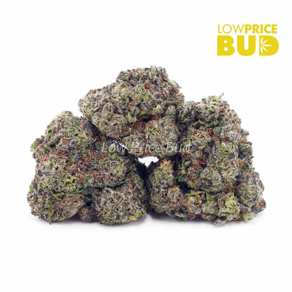 Z Splitter (AAAA) Buy Z Splitter (AAAA) online Canada