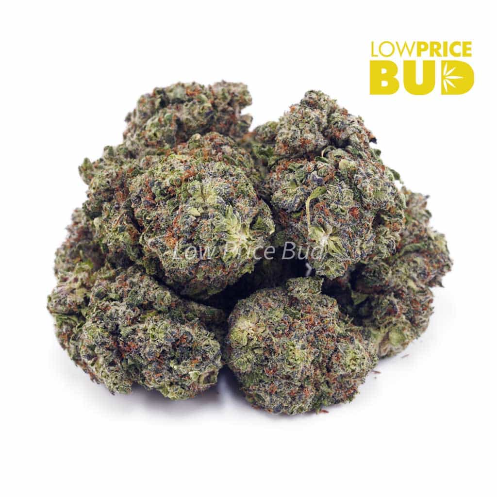 Z Splitter (AAAA) Buy Z Splitter (AAAA) online Canada