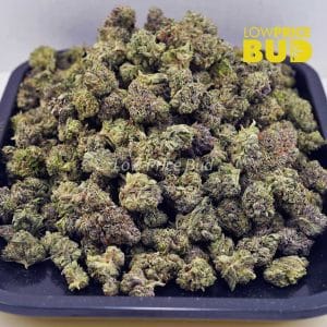 Buy Platinum Pink (AAAA) – Popcorn Nugs online Canada
