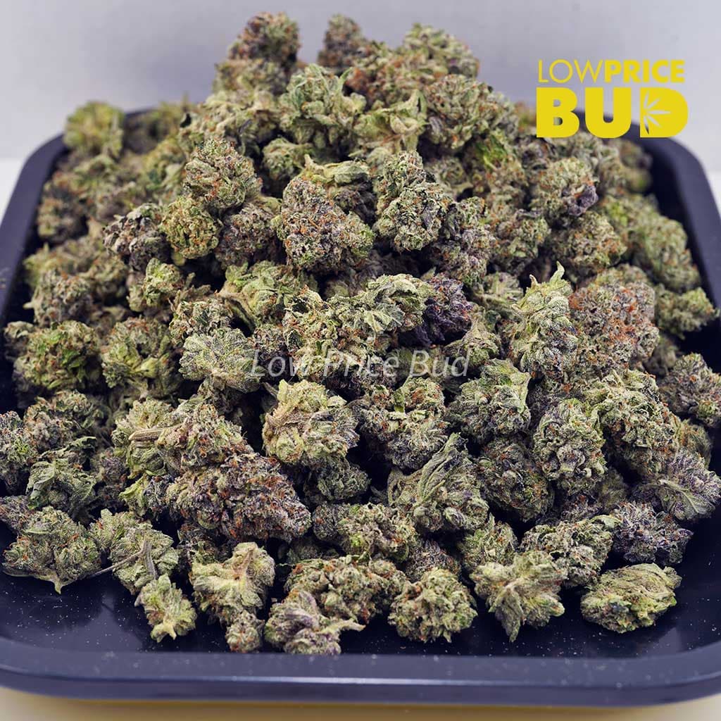 Platinum Pink (AAAA) – Popcorn Nugs Buy Platinum Pink (AAAA) – Popcorn Nugs online Canada