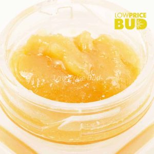 Live Resin – Ghost OG Buy Live Resin – Ghost OG online Canada