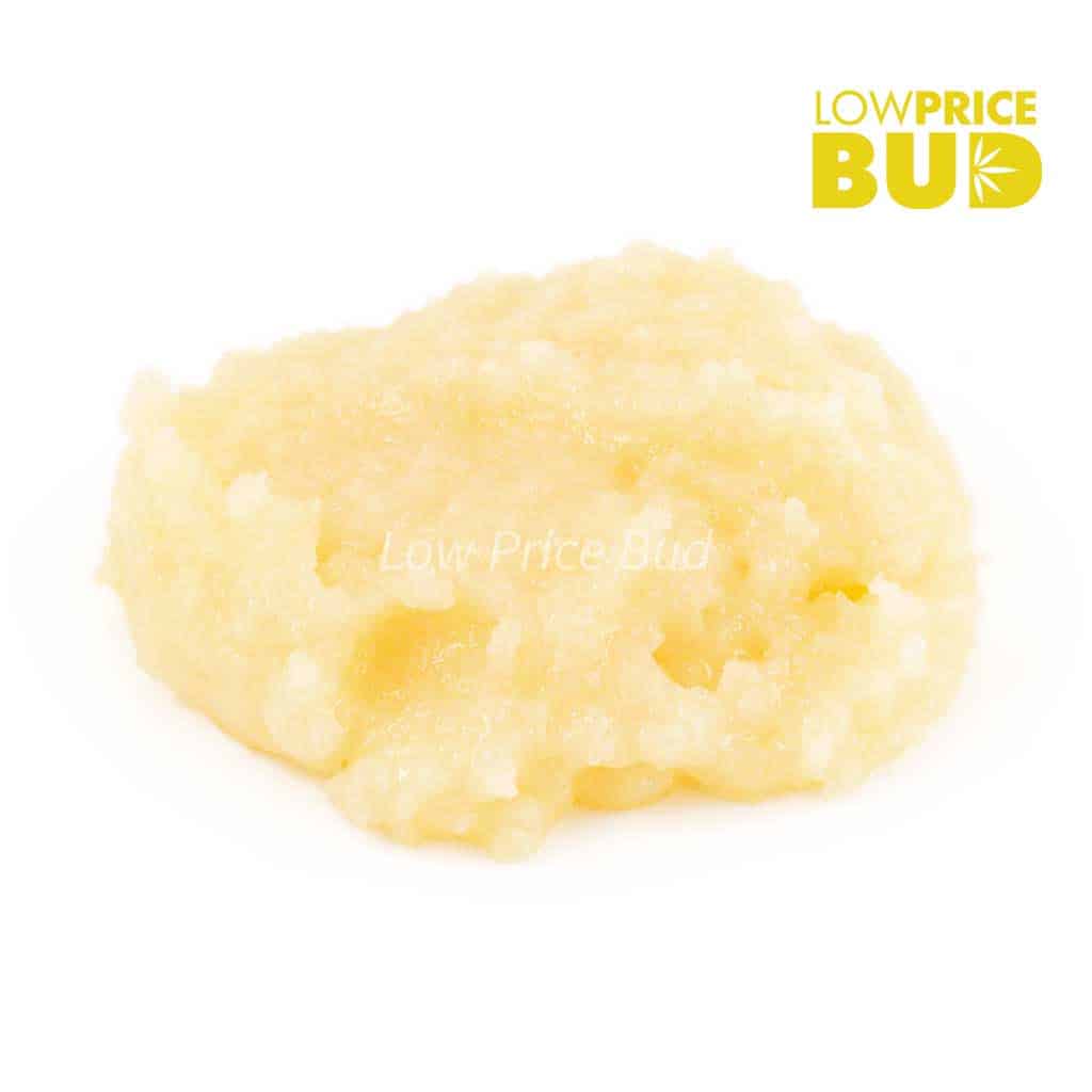 Caviar – Hawaiian Haze Buy Caviar – Hawaiian Haze online Canada