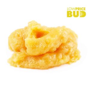 Caviar – Passionfruit Kush Buy Caviar – Passionfruit Kush online Canada