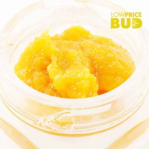 Caviar – El Chapo Buy Caviar – El Chapo online Canada