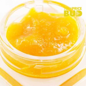 Caviar – Godfather OG Buy Caviar – Godfather OG online Canada