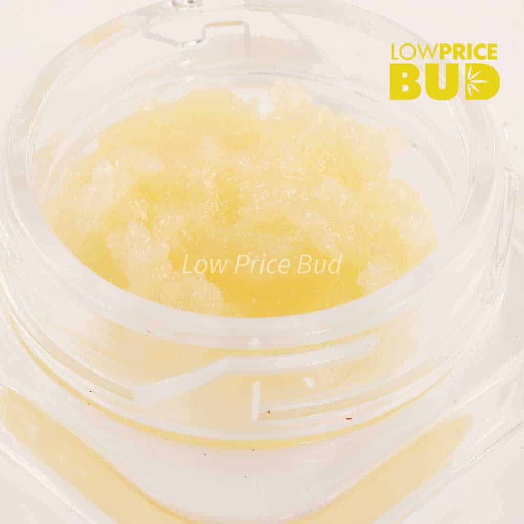 Caviar – Hawaiian Haze Buy Caviar – Hawaiian Haze online Canada