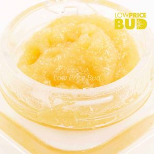 Caviar – Lemon Skunk Buy Caviar – Lemon Skunk online Canada
